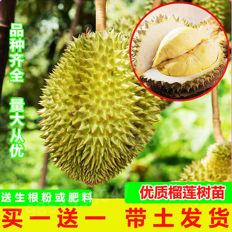 探秘小学时光共助成长阶梯！郑州市金水区纬三路小学举行幼小衔接开放日活动(图1)