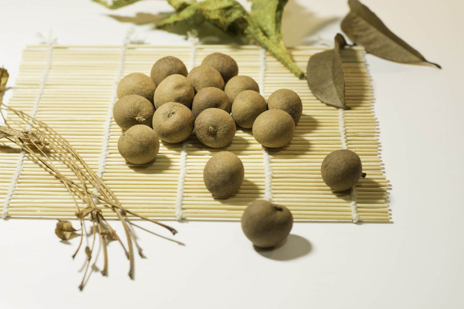 龙眼树苗的种植方法