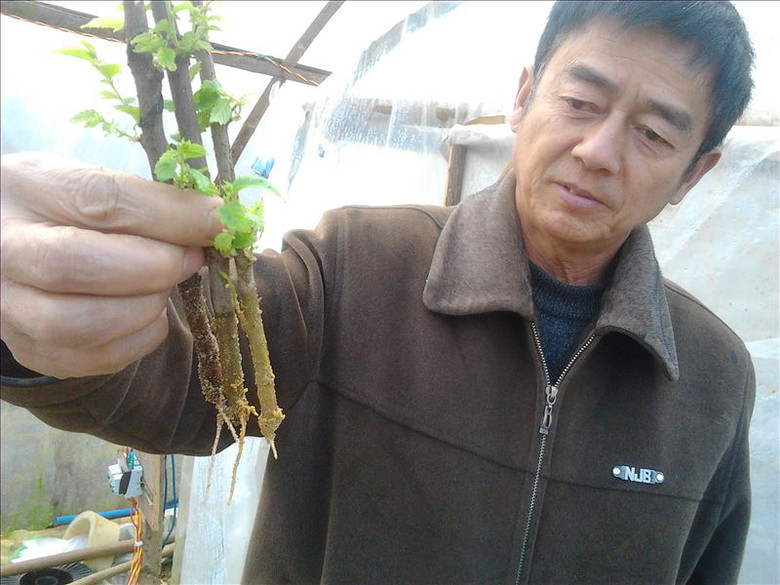 掌握种树技巧享受种植树苗的乐趣与成就感