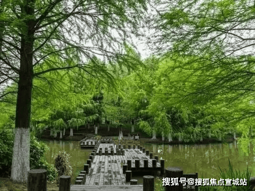 全维价值引燃置业热潮!城发桃园新著誉滨江-售楼处实时更新房源信息涵盖区位、环境、户型、配套预约看房火热持续圈定全城塔尖客群(图4)