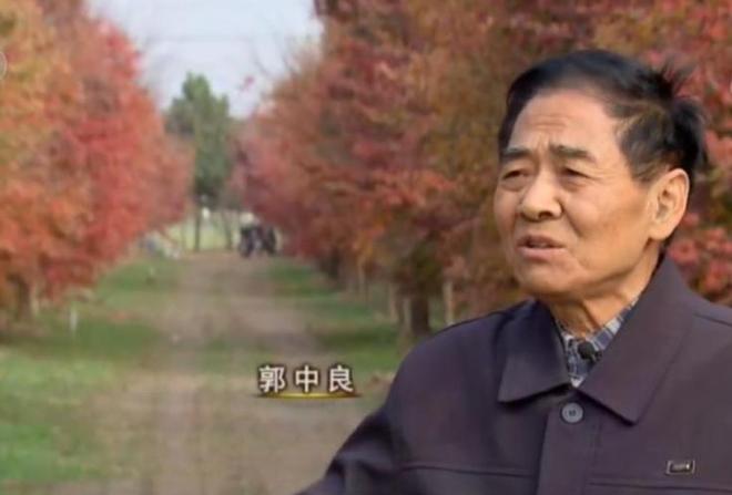 江苏老人郭中良患癌退休回家种树花百万17年后收获6亿财富(图1)