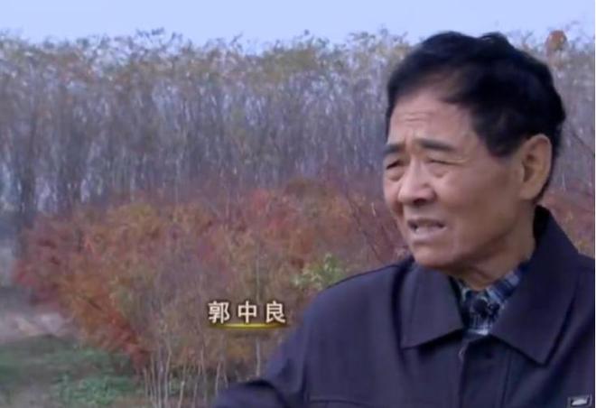 江苏老人郭中良患癌退休回家种树花百万17年后收获6亿财富(图5)