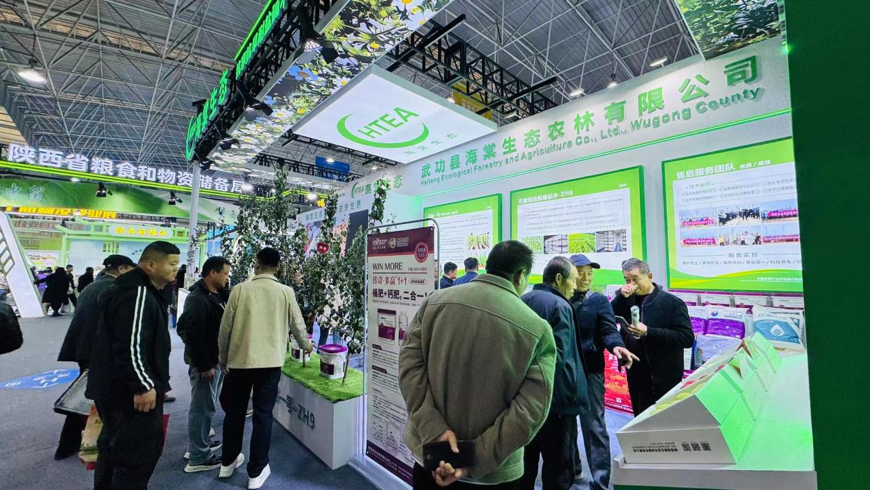 脱毒苹果大苗成农高会焦点 武功县海棠公司引领苹果种植革新(图3)