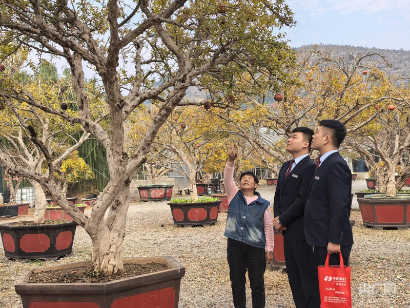 山东枣庄：榴花正红炒鸡香 “联合会诊”纾解融资难(图1)