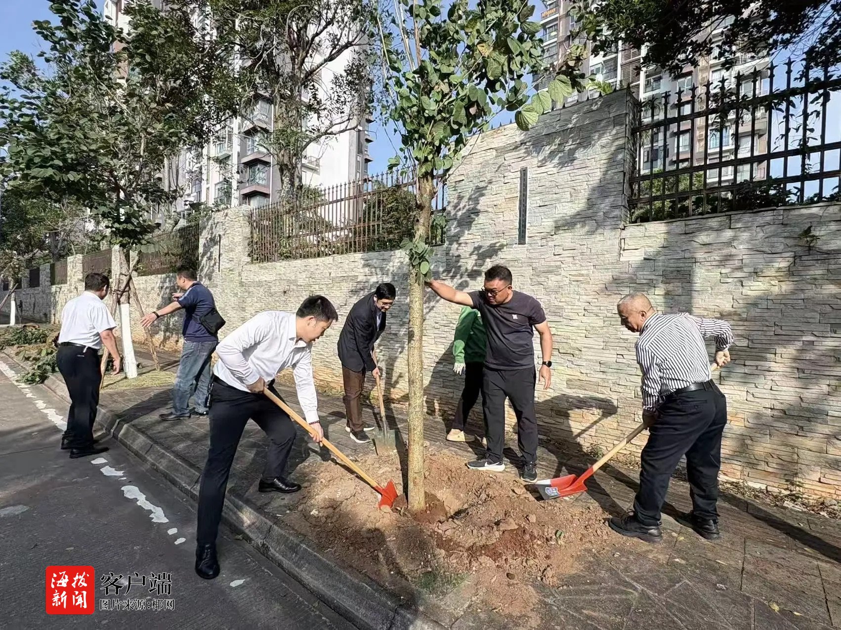秀英区：爱心企业捐赠苗木 同心共建绿色家园(图1)