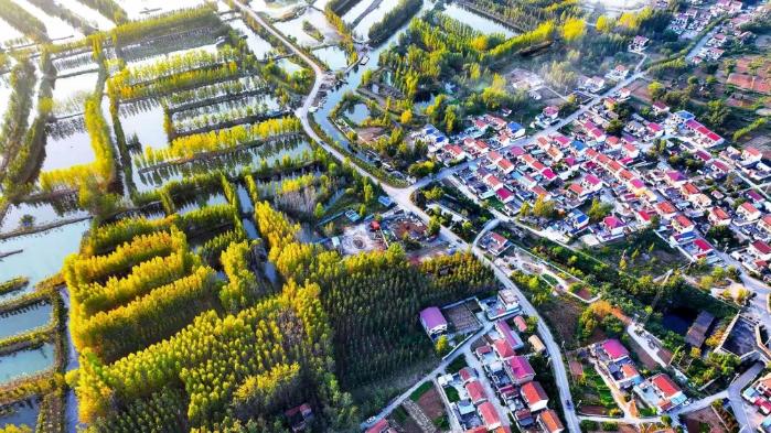 徐州加快推进乡村全面振兴 建设“强富美高”新农村(图3)