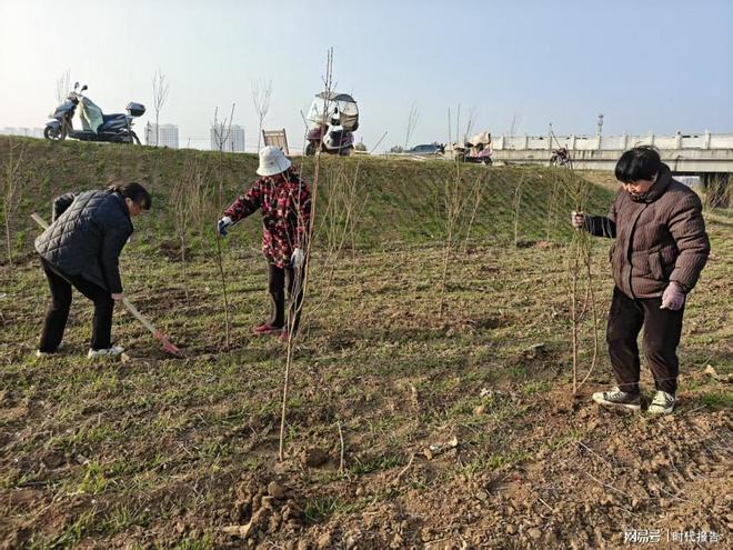 汇聚社会力量共建绿美家园：新鑫缘建材有限公司向南阳市宛城区红泥湾镇捐赠爱心树苗(图3)