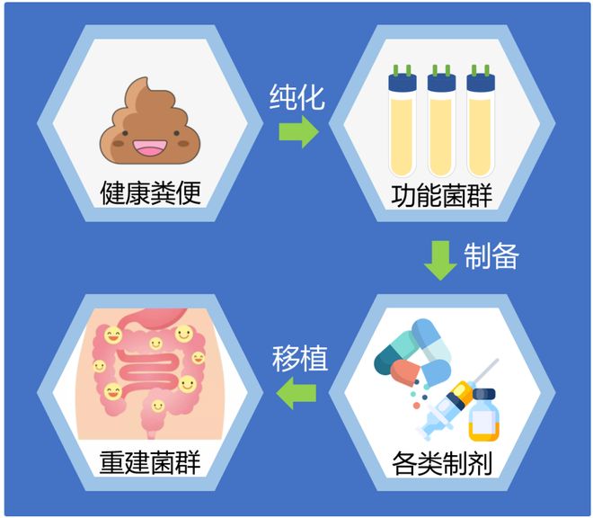 肠菌移植 = 吃粪便？关于肠菌移植的5大谣言今天一次澄清
