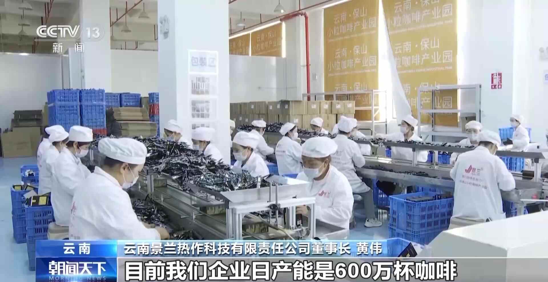 一线见闻丨走出大山 云南咖啡何以从“红果”走向“红火”？(图9)