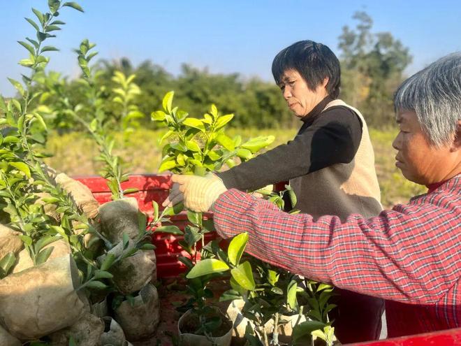 从田间到云端！双基地联动育“金苗”(图6)