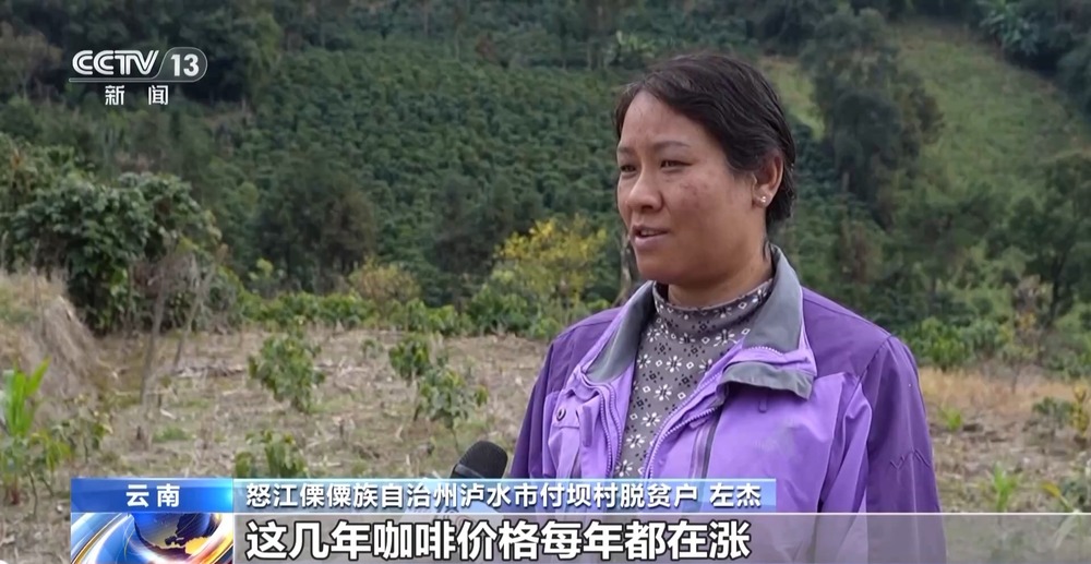 一线见闻丨走出大山云南咖啡何以从“红果”走向“红火”？(图2)