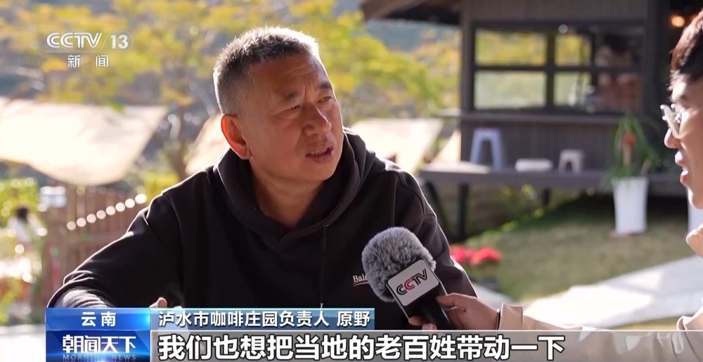 一线见闻丨走出大山云南咖啡何以从“红果”走向“红火”？(图7)