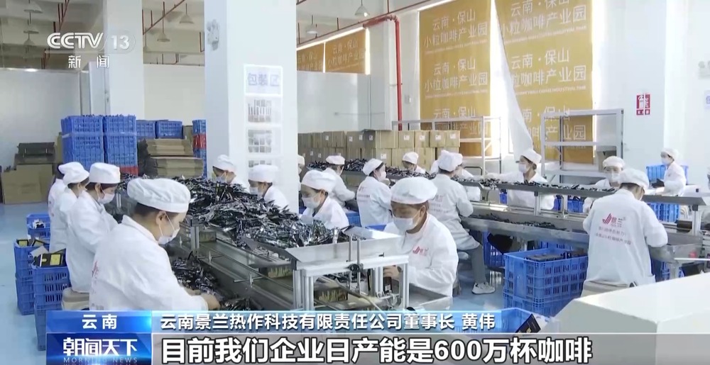 一线见闻丨走出大山云南咖啡何以从“红果”走向“红火”？(图9)