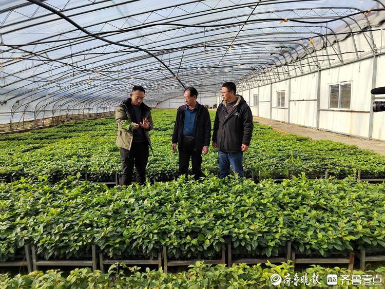 三年“苹果革命”带来产业发展“明白账”(图2)