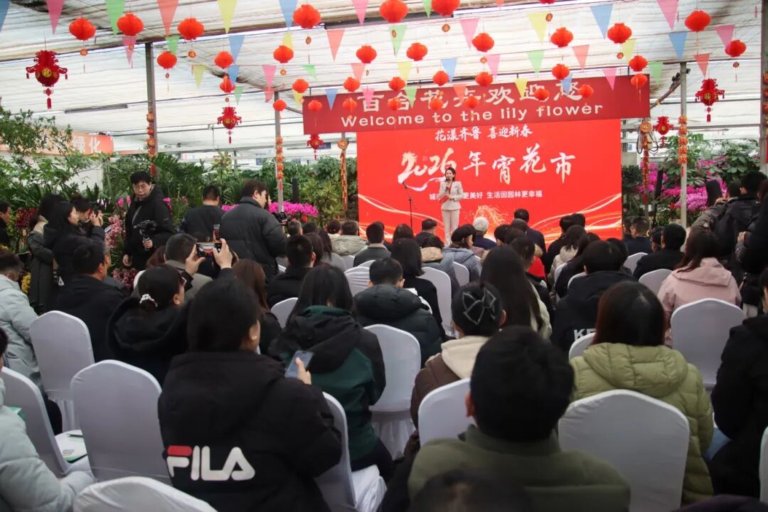 花漾齐鲁·喜迎新春 2026年宵花市盛大开幕