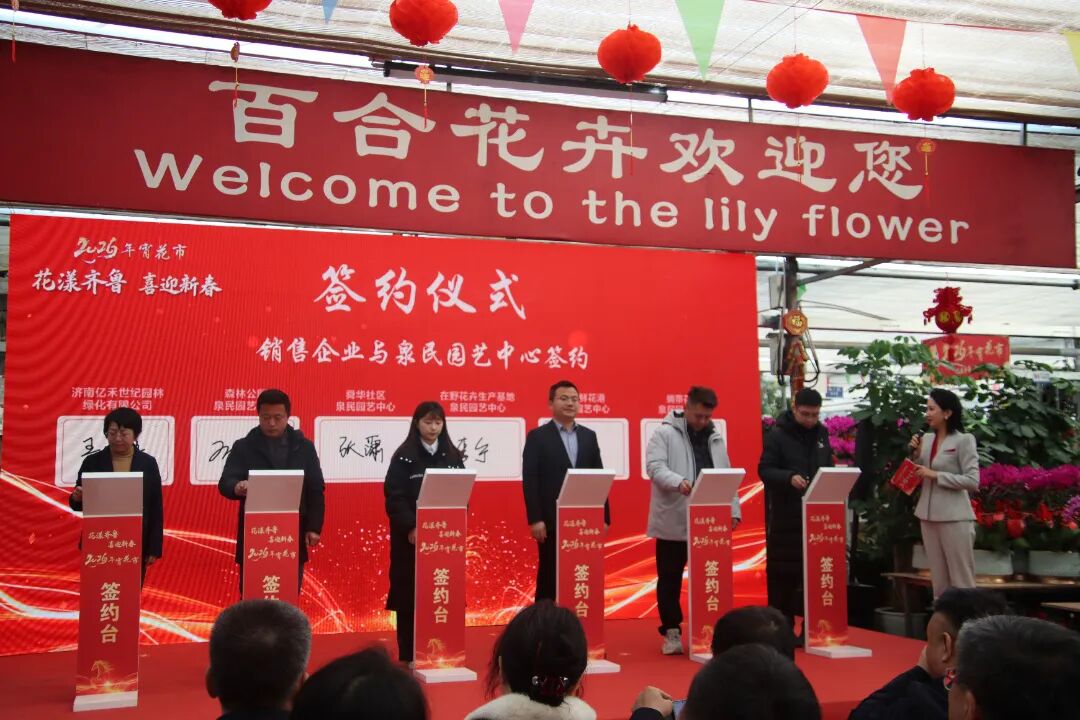 花漾齐鲁·喜迎新春 2026年宵花市盛大开幕(图7)