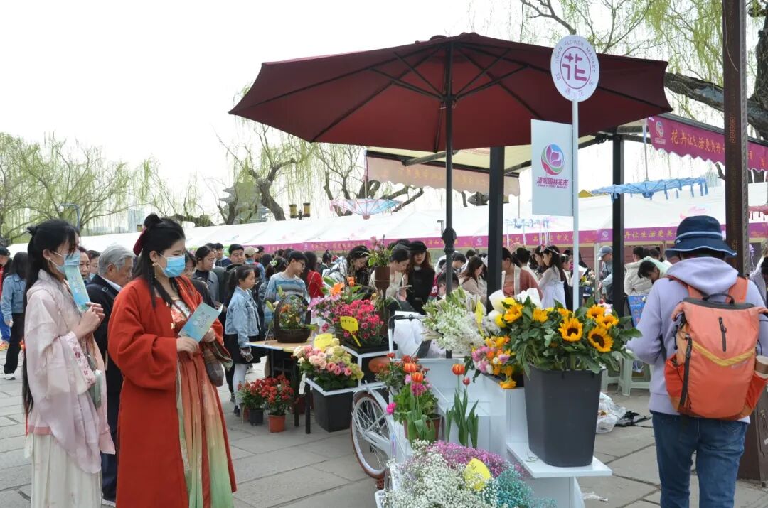 花漾齐鲁·喜迎新春 2026年宵花市盛大开幕(图12)