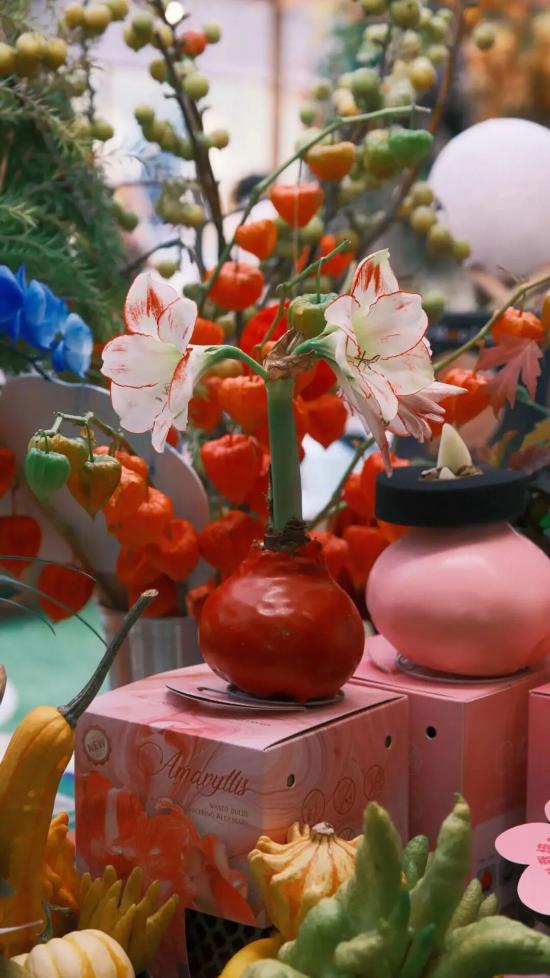 2026沪上年宵花市开逛！“花”式逛出新年味(图6)
