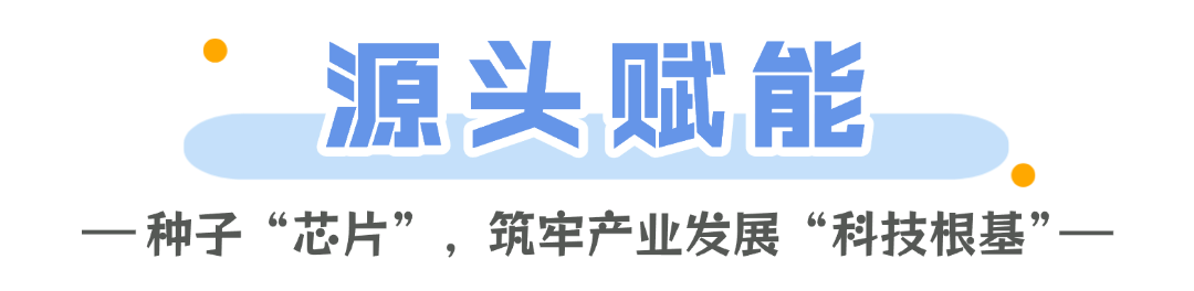 智慧种橙秭归脐橙的“科技密码”(图3)