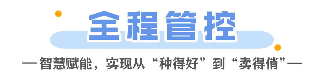智慧种橙秭归脐橙的“科技密码”(图5)