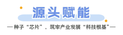 智慧种橙秭归脐橙的科技密码(图2)