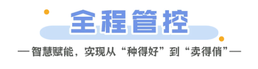 智慧种橙秭归脐橙的科技密码(图4)