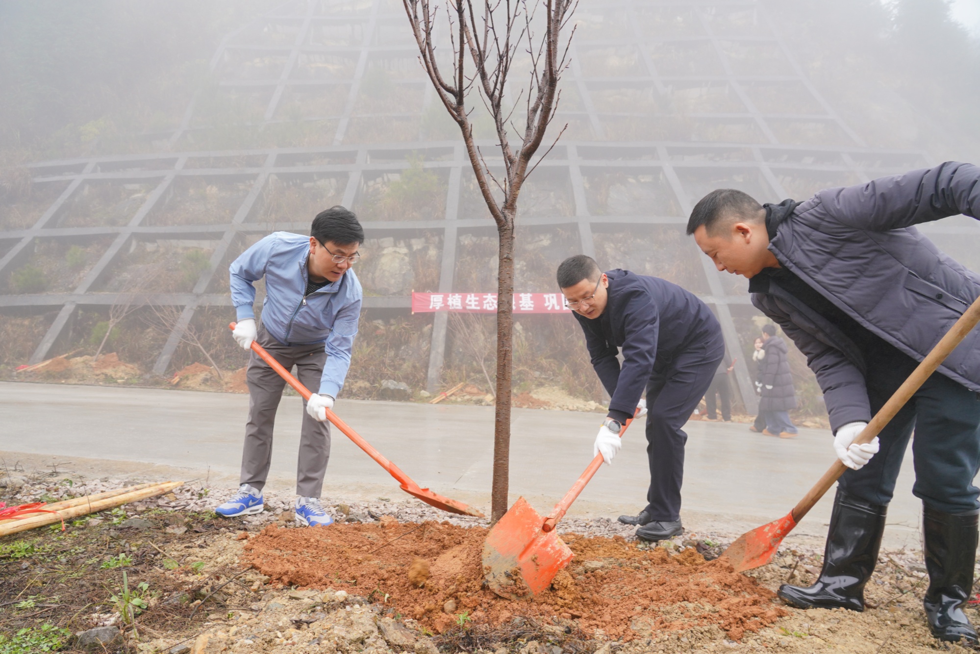 贵州丹寨：植树添绿绘新景 笃行实干启新程
