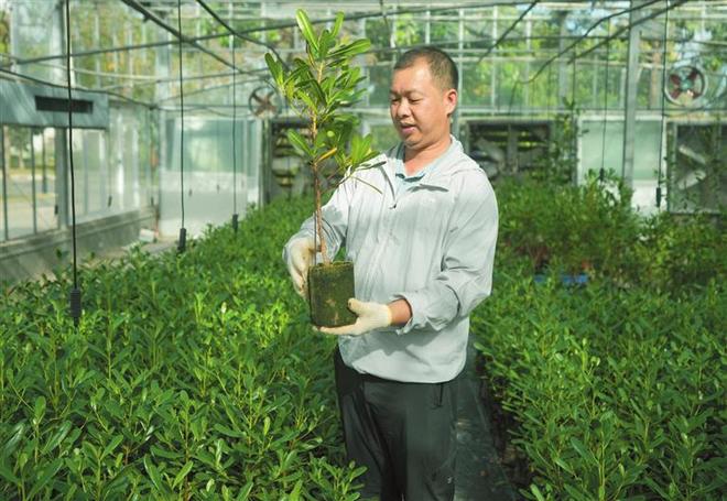 仅9株！2019年“老祖宗”面临繁殖危机专家花6年培育2万株(图10)
