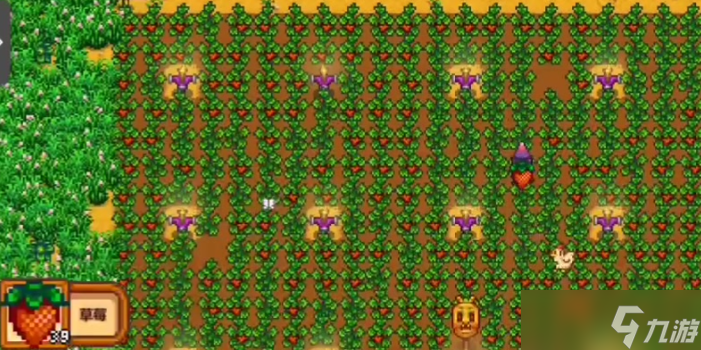 星露谷物语能种植什么(图3)