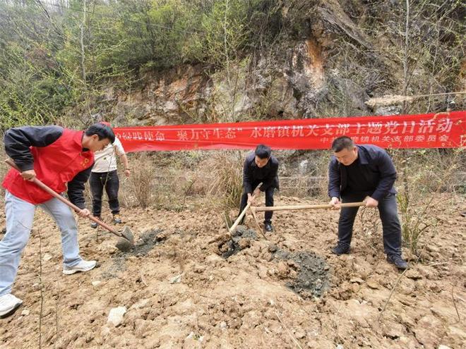 广元旺苍：种下生态树 开出文旅花(图1)