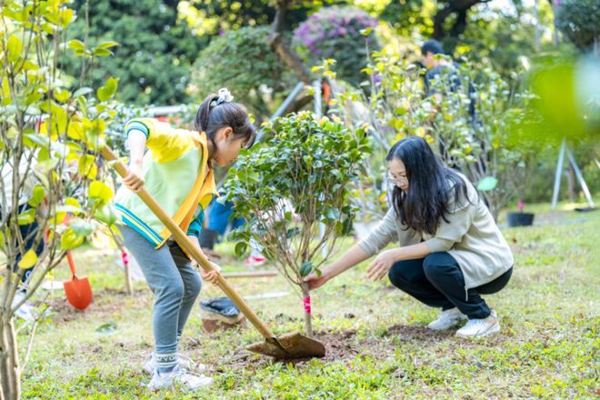 巾帼聚力添新绿！广东各级妇联同植幸福树(图1)