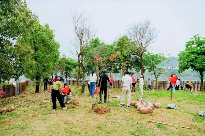 巾帼聚力添新绿！广东各级妇联同植幸福树(图2)