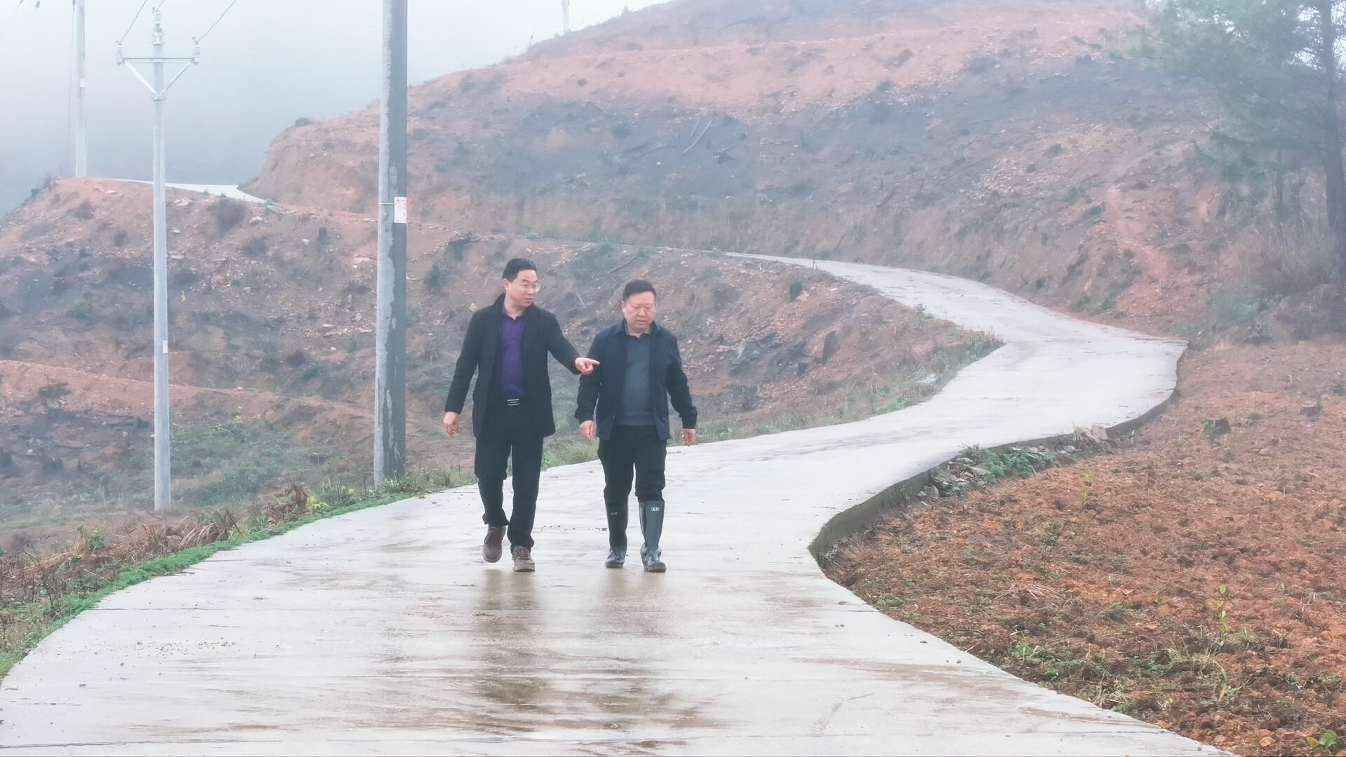 湖南中方县：荒山变“金山” 油茶铺就富民路(图2)