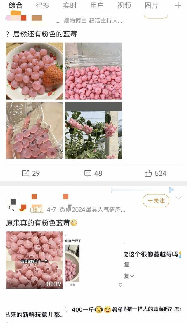 蓝莓也有粉色的？ 专家：真的存在但营养价值不能通过颜色少见来判断(图2)