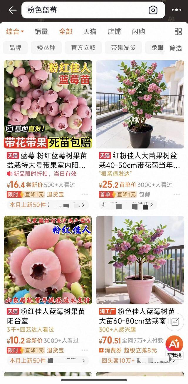 蓝莓也有粉色的？ 专家：真的存在但营养价值不能通过颜色少见来判断(图4)