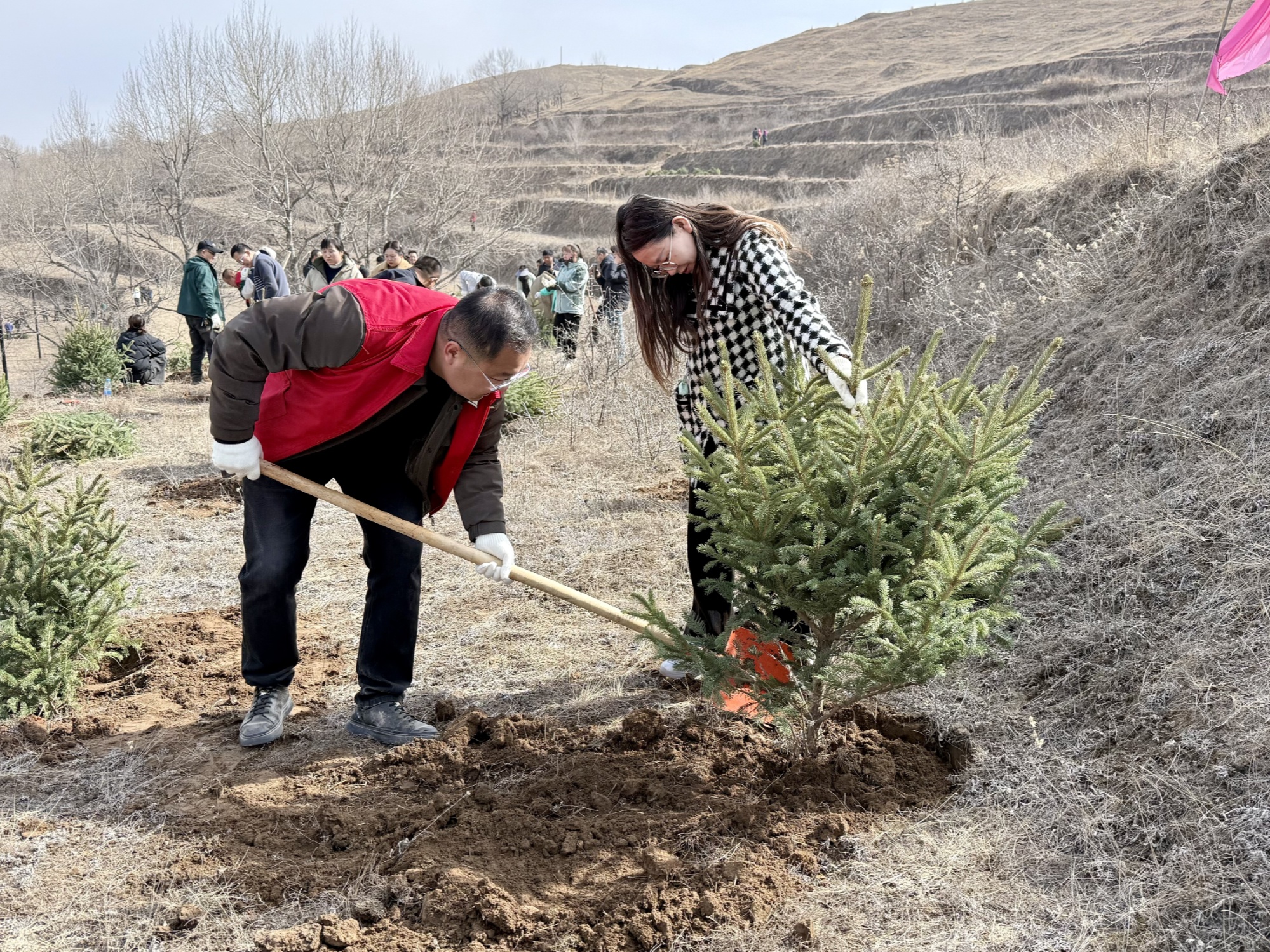 甘肃临洮：全民植树绘就生态画卷