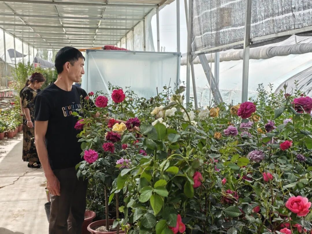 伽师：花香漫乡村 旺销迎“五一”(图2)