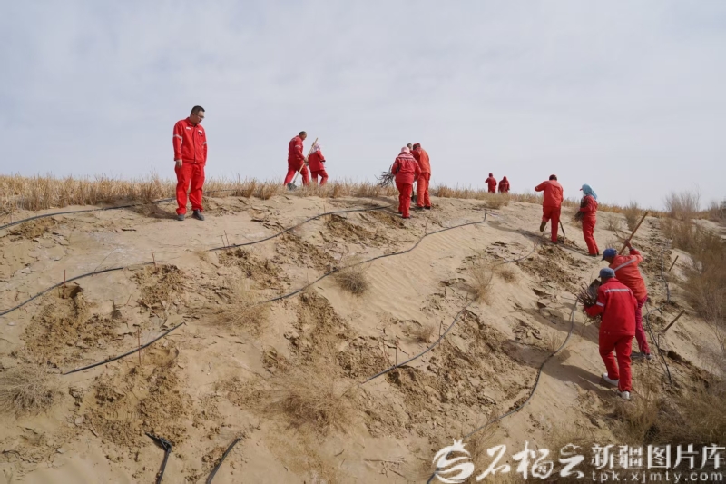 美丽新疆丨沙漠镶绿零碳焕新这条公路的“变身”太燃了