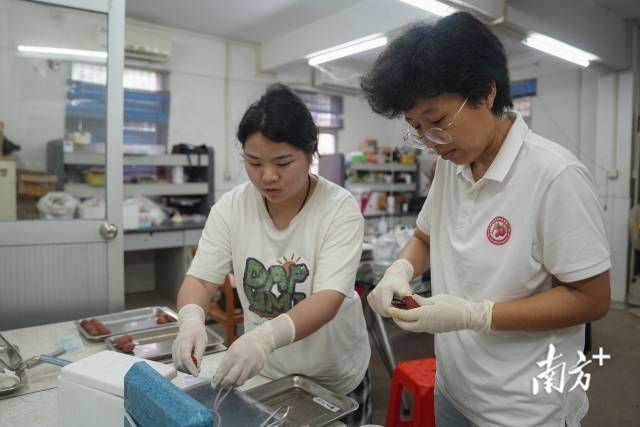 随口一尝便知荔枝糖度“荔枝鉴定师”是如何炼成的？(图7)