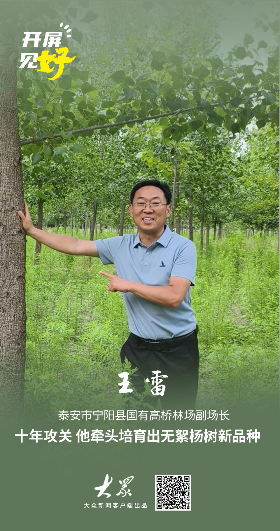 开屏见“好”｜为了春天不再飘絮这位基层林业人用十年培育出无絮黑杨(图1)