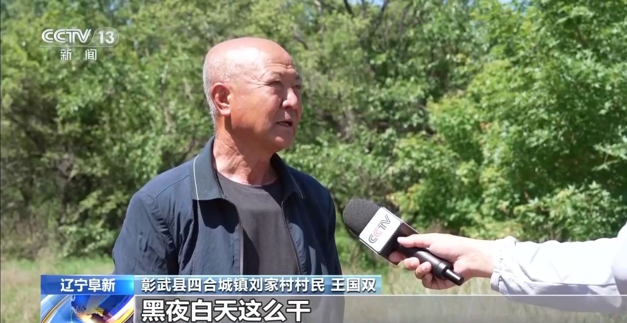中央媒体看辽宁丨央视新闻：全国优秀共产党员、全国绿化奖章获得者侯贵：二十五年扎根沙海他从一棵树种出一片林(图5)
