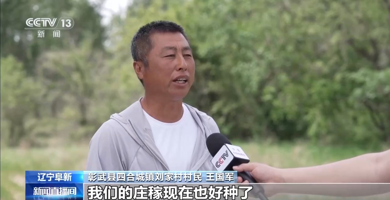 中央媒体看辽宁丨央视新闻：全国优秀共产党员、全国绿化奖章获得者侯贵：二十五年扎根沙海他从一棵树种出一片林(图6)