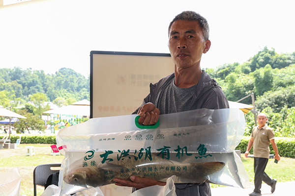 洪湖镇首届“湖畔果香”采摘畅玩节启幕(图2)