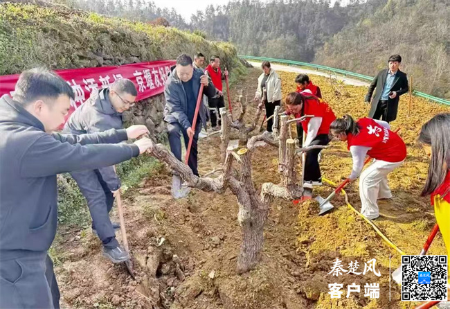 张湾区：多彩志愿服务绘就三月春意红(图4)