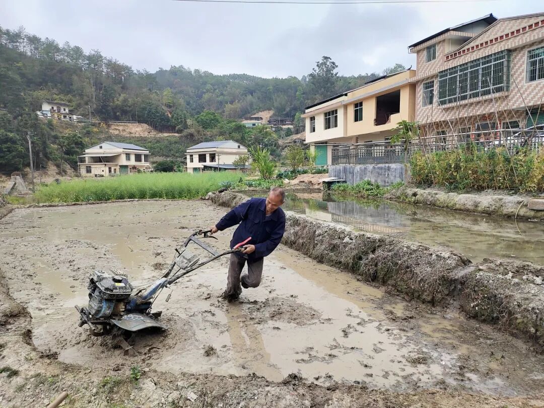 华安全域春耕正酣田间“烟火”太治愈(图3)