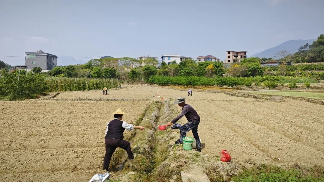 华安全域春耕正酣田间“烟火”太治愈(图2)