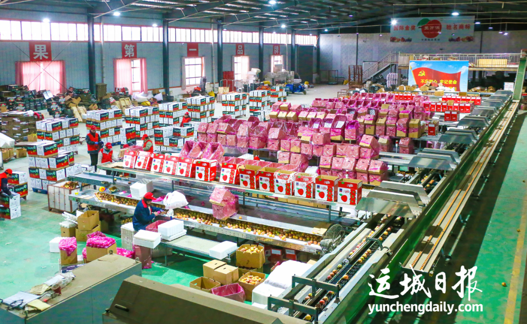 兴商圣之道强农业之基临猗县以猗顿文化赋能现代农业高质量发展(图3)