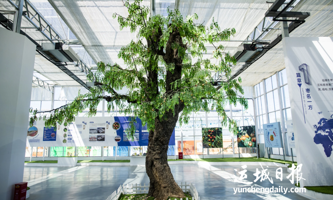 兴商圣之道强农业之基临猗县以猗顿文化赋能现代农业高质量发展(图4)