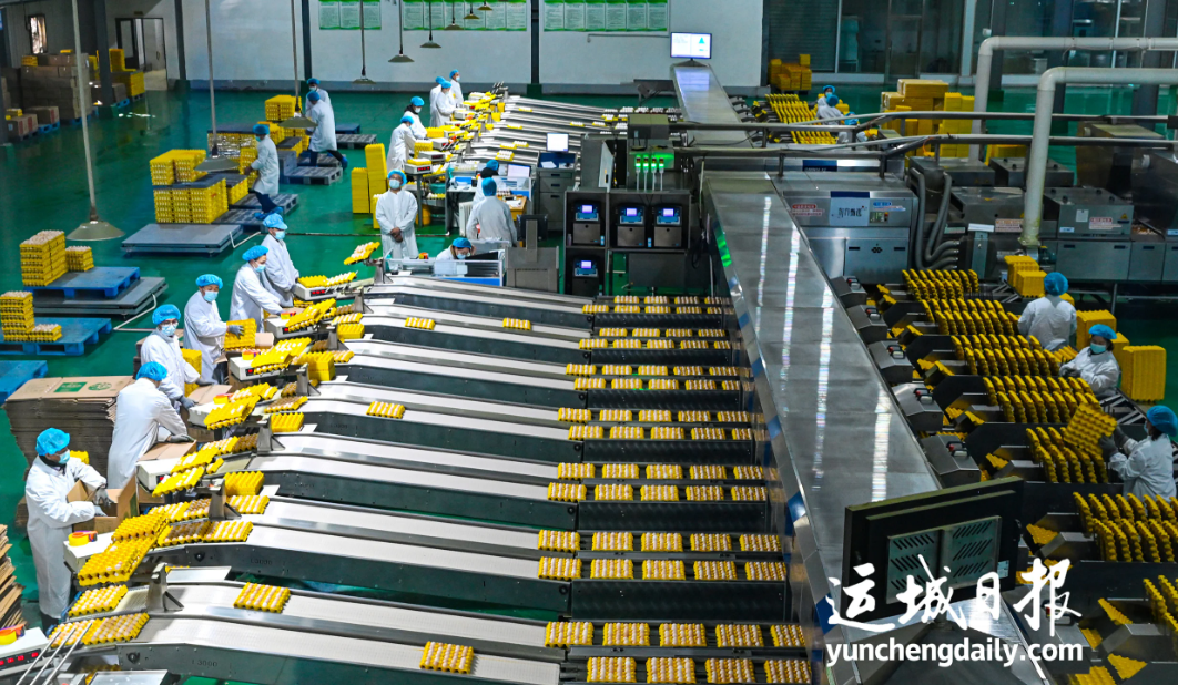 兴商圣之道强农业之基临猗县以猗顿文化赋能现代农业高质量发展(图5)