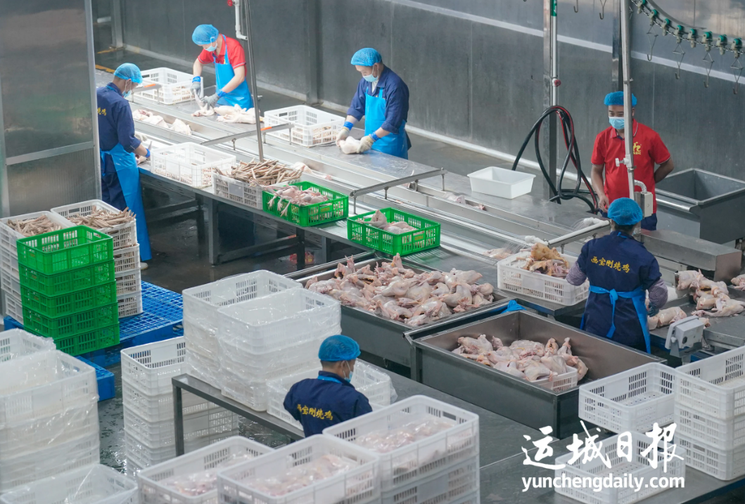 兴商圣之道强农业之基临猗县以猗顿文化赋能现代农业高质量发展(图7)